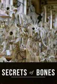 A csontok titkai