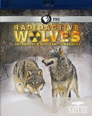 Radioaktív farkasok: Csernobil